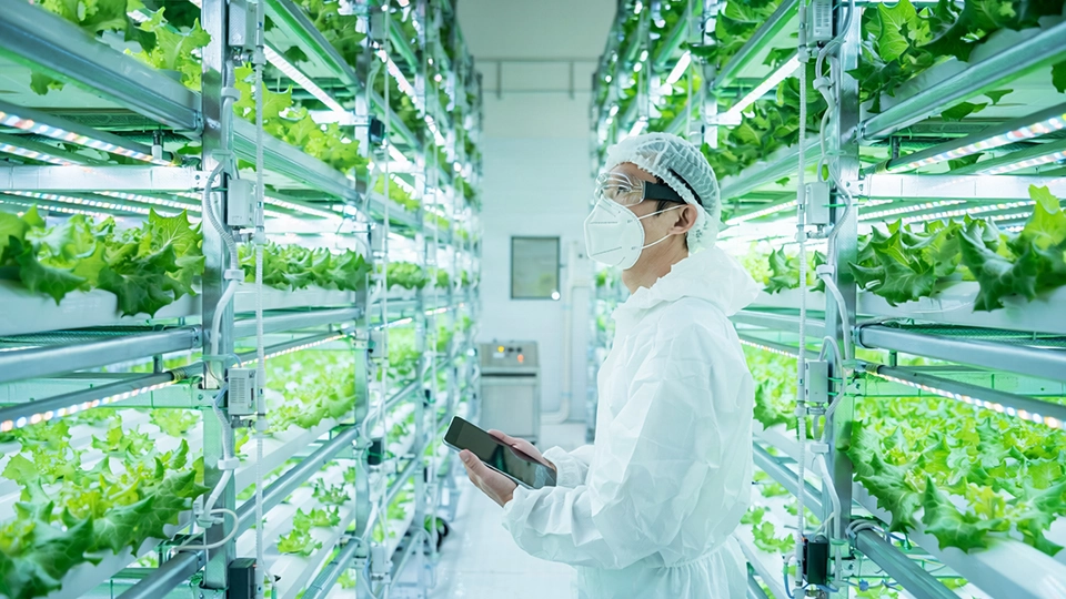 植物工場はなぜ赤字になるのか?失敗事例と成功パターンから見る採算性